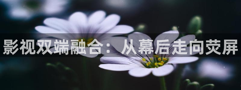 飘雪影视免费