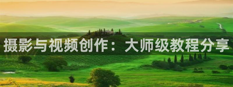 飘雪影视在线观看高清：摄影与视频创作：大师级教程分享