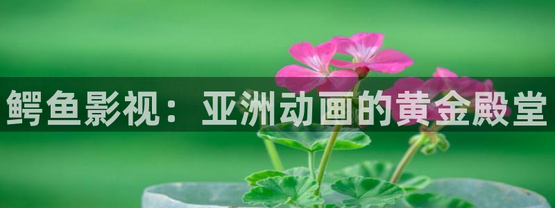 飘雪影院免费