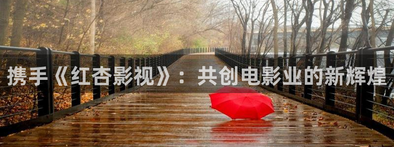 飘雪影院在线观看高清电影免费：携手《红杏影视》：共创电影业的新辉煌